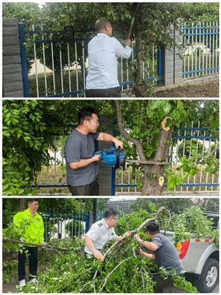 清理绿植.jpg